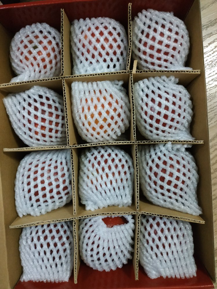 挺好,新鲜,挺好,新鲜,挺好,新鲜,挺好,新鲜。
