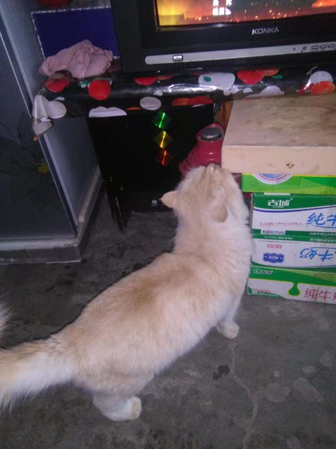 猫咪很喜欢吃,而且实惠,很多人说是毒粮,毕竟自营,还是有门槛的一如既往地支持!