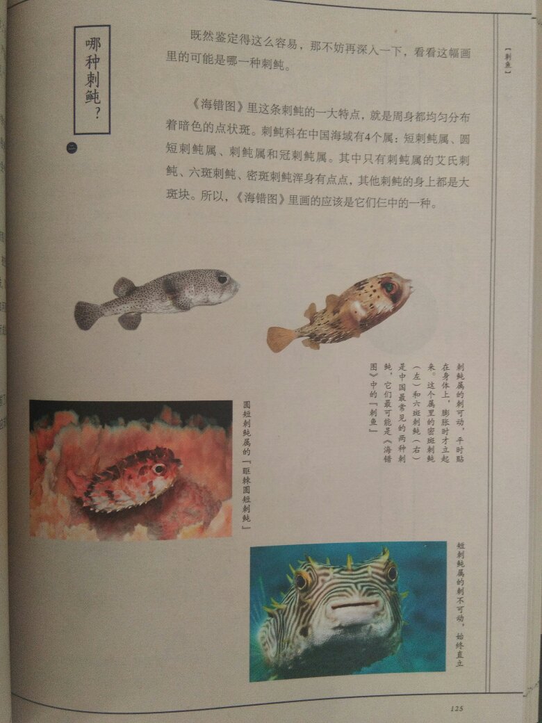 故事的起止局限于16岁的中学生 霍尔顿·考尔菲德从离开学校到纽约游荡的三天时间内,并借鉴了 意识流天马行空的写作方法,充分探索了一个十几岁少年的内心世界