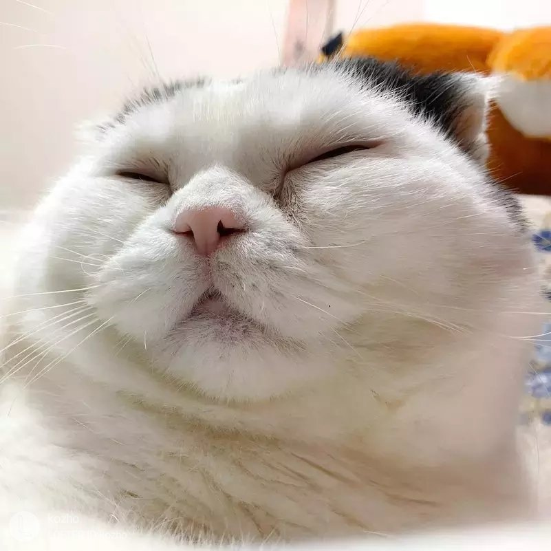 质量非常好,与卖家描述的完全一致,非常满意,真的很喜欢,完全超出期望值,发货速度非常快,包装非常仔细、严实,物流公司服务态度很好,运送速度很快,很满意的一次购物