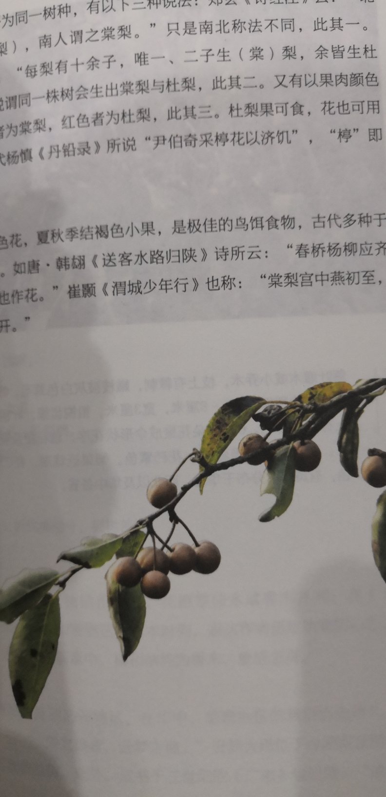 东西都很好,印刷精美。可惜作者是个台巴子。希望里面没有错误。如果有错误会追评。