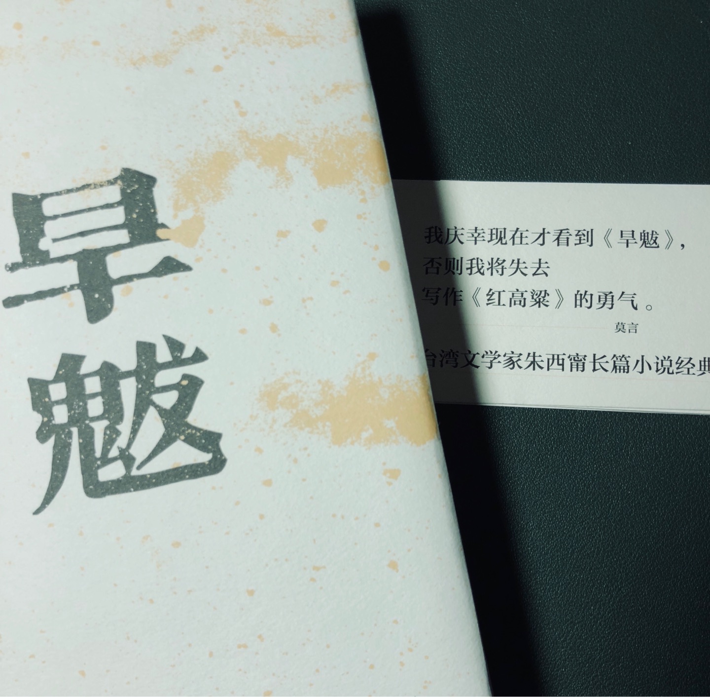 一直在等,看完理想国新书发布会的直播就更期待了。铁浆已经读完,旱魃还没有读。非常棒的文字,讲故事的叙述方式和文风居然有些和木心相似,或者两人有相近之处。故事也非常精彩。