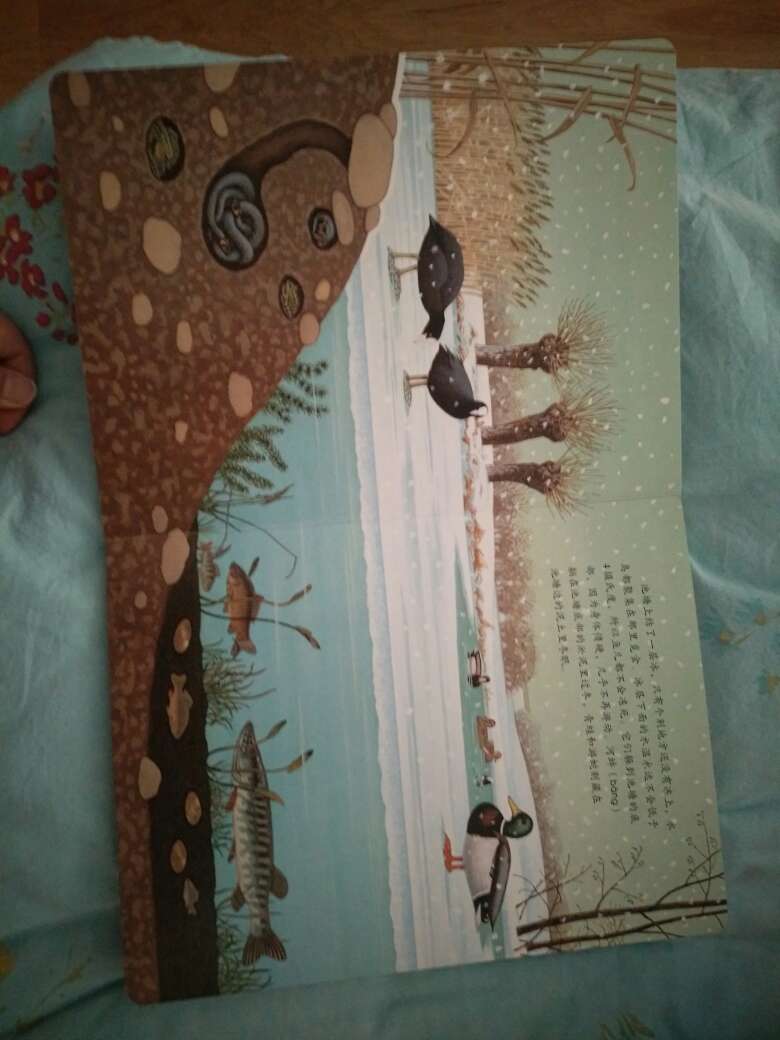 看到书的标题就忍不住买了,书质量很好,硬皮有塑封,图案清晰,具体内容还没细看,希望能够让儿子喜欢自然。每次看到满199-100就忍不住买买买,有了买书方便又便宜,家里的书越来越多,小书柜都满了。