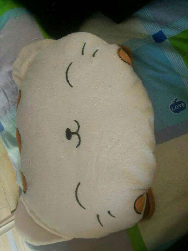 这几天天气比较冷,刚好用得上。挺好的。。。
