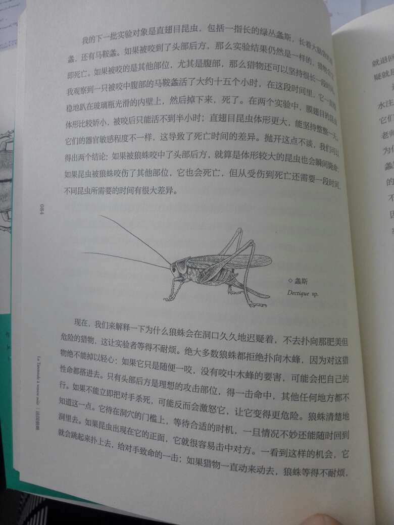 书的设计装帧还是很用心的,翻译大概看了也还不错。没有看过其他版本。感觉配图少了点。不过都很精致。印刷字体很秀美,美中不足的是有些页印的有轻微重影,看的时候稍有点花。