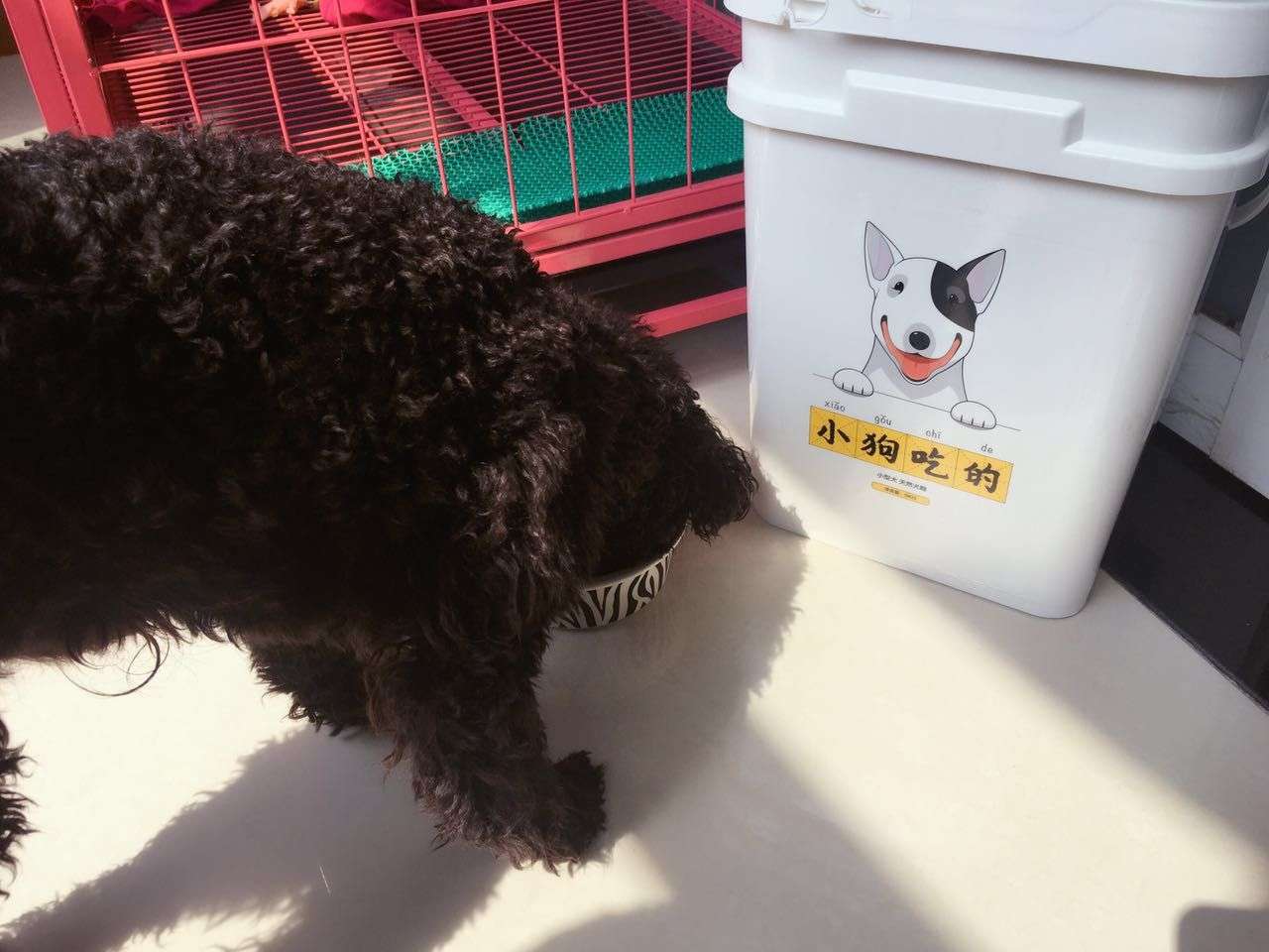 特意吃了一段时间再来评价的,看成分狗粮的肉类含量很高,我们家榴莲竟然不要狗粮伴侣直接上口了,看起来很爱吃呢,吃了一周便便都很正常,感觉比以前消化更好了,买到合适的狗粮真的是太开心了,以后就认准小狗吃的啦。ps:包装桶真的是萌萌哒,好评!