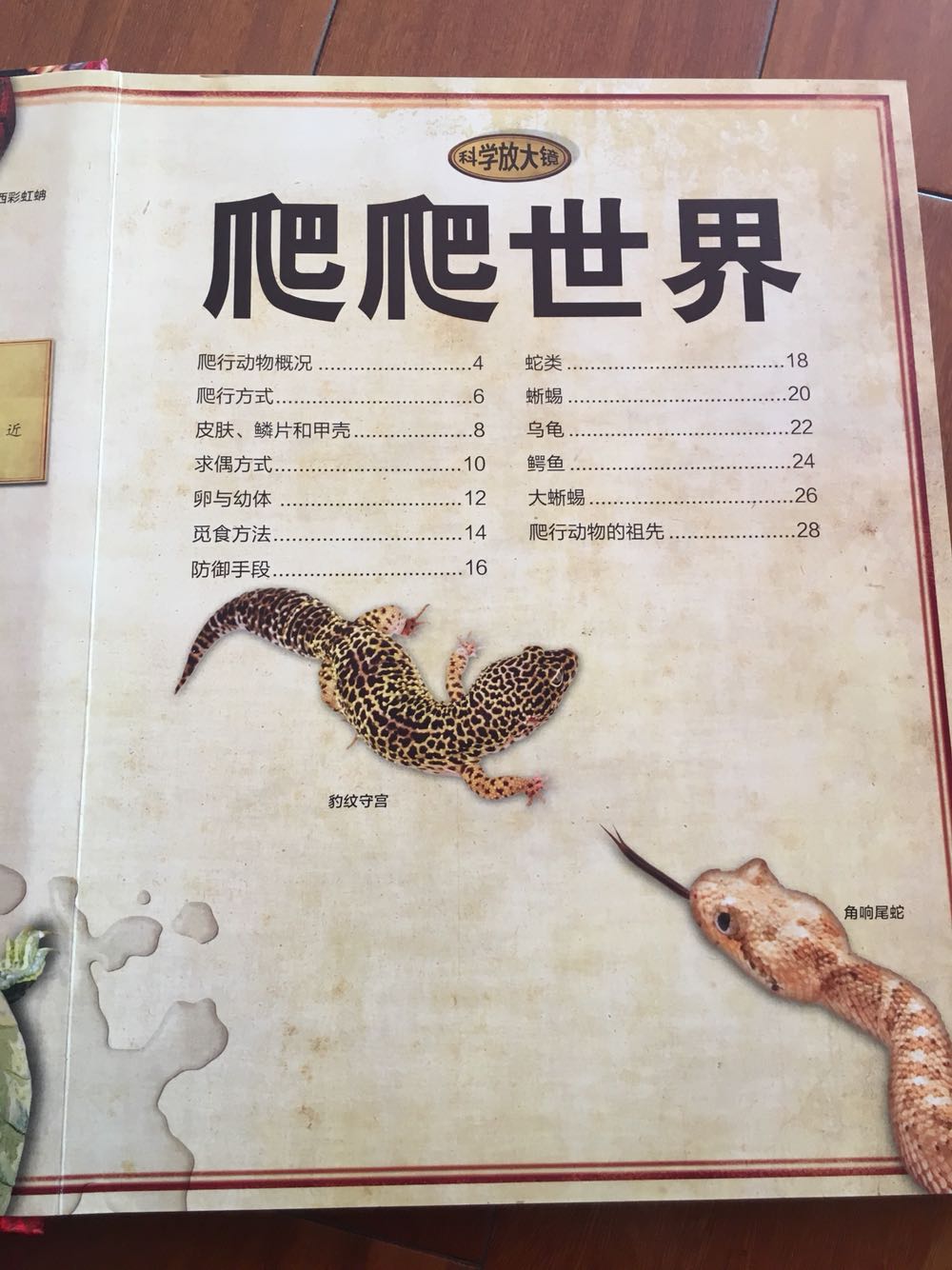 在书店里看到这一系列的书,孩子就喜欢看。当时买了一本先看起来,回家再上买了两本,价格优惠些。这一系列书印刷质量好,封面和内页都够厚实,每本配有放大镜,孩子看起来更有兴趣。