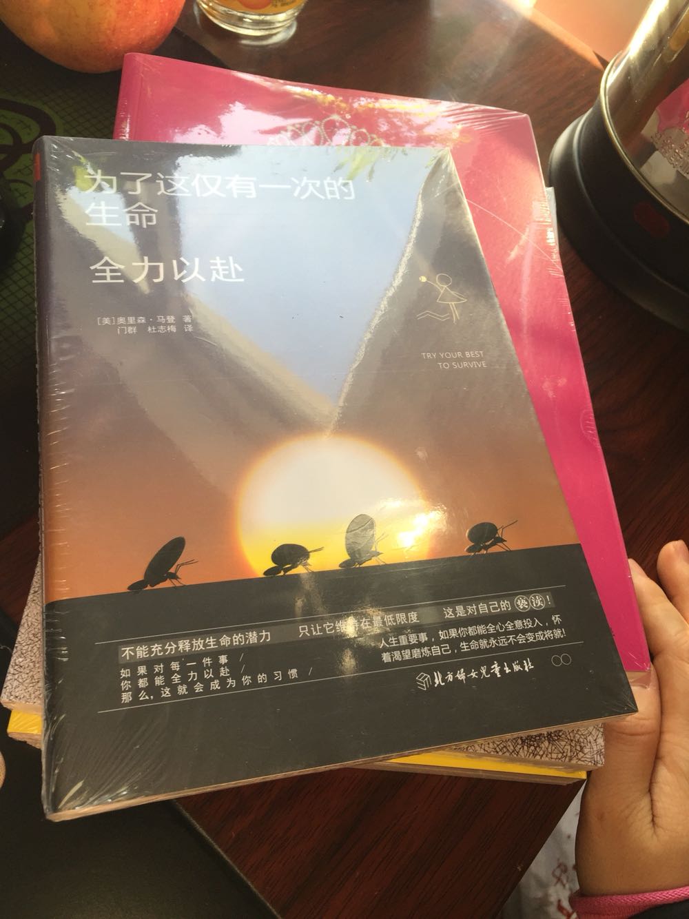 看起来书的质量还不错、内容不知道怎么样!还没有拆封!正好闲来无事、每天都可以看看书、比玩游戏好多了!书的质量应该会很好的!