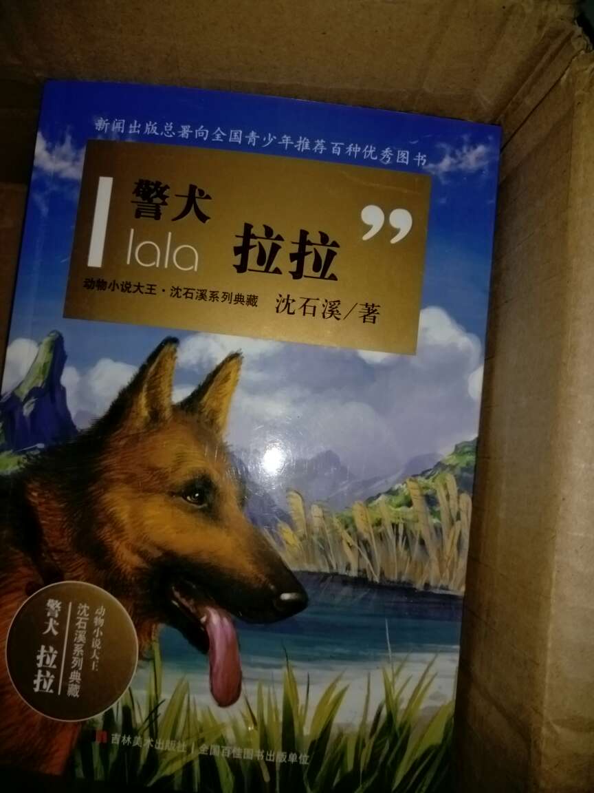 双十一大促,零点起来抢的满的券,买那么多优惠很多,很满意,宝宝很喜欢,赞!!!!!!等再有活动的时候。继续囤货,下次把这套买全了!