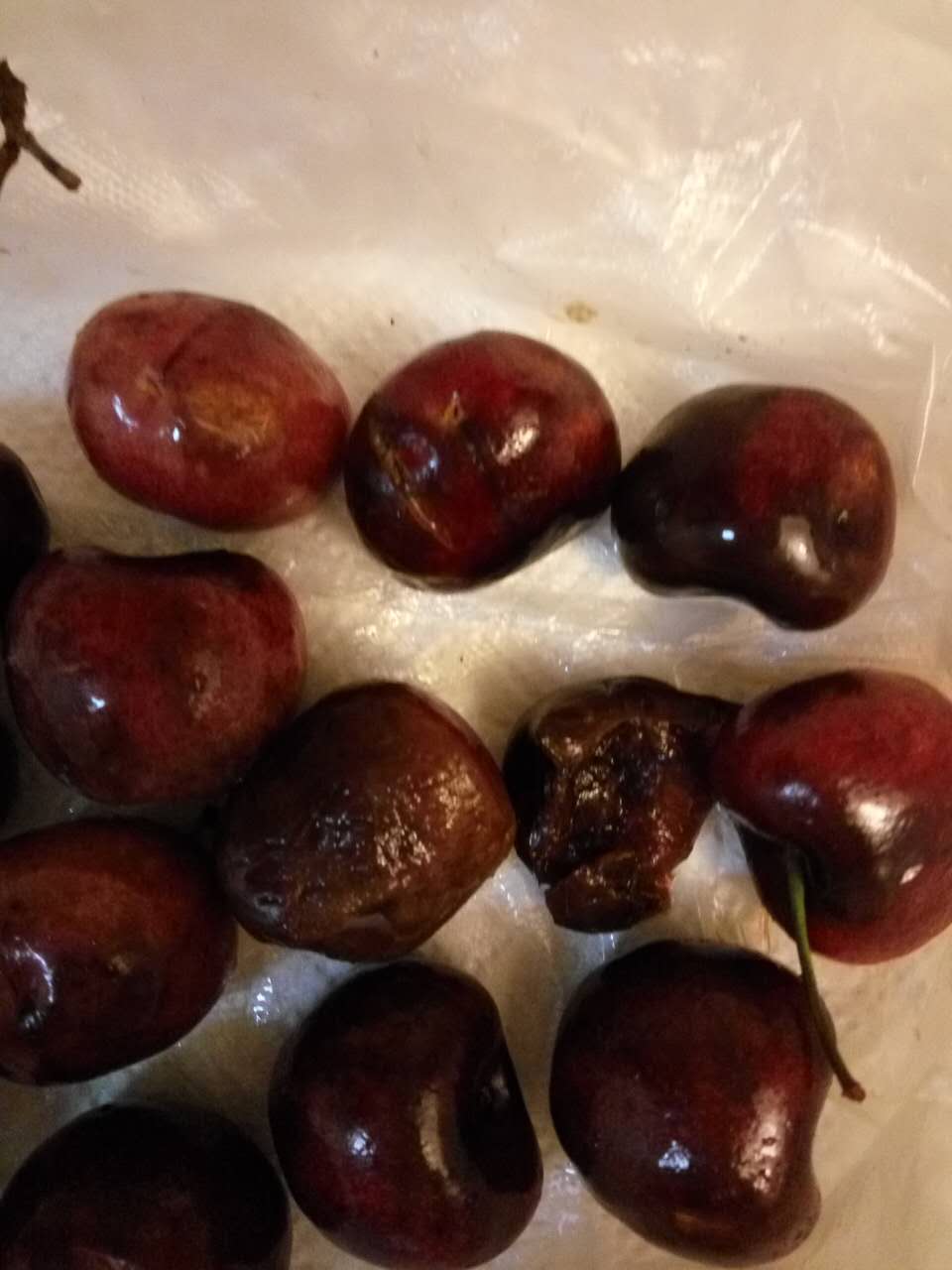 我一次购买了4斤!打开包装现已发现15个坏的!烂的!我已拍照!随后上传……