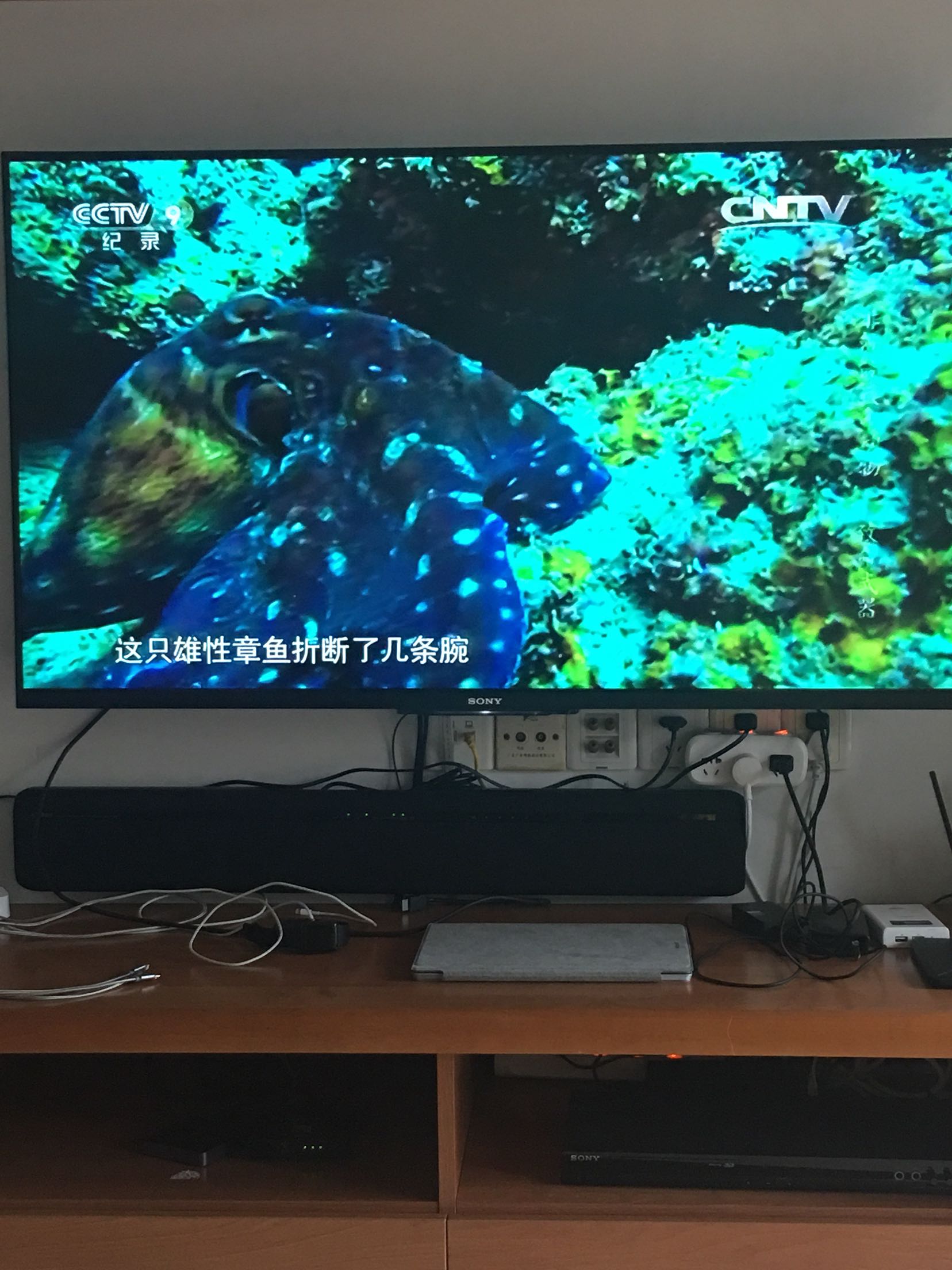 产品质量非常好,解决了大问题!效果非常棒!