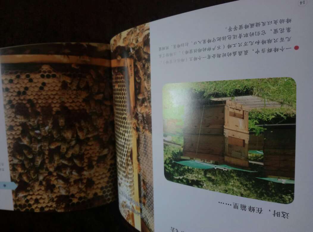 很早就想买了,抢了张优惠券就赶紧收了!觉得日本人做这些关于自然科学和手工的书就是比国内的要细致啊!用非常详细的图告诉小朋友大米是怎么来的,牛奶可以做成哪些食物?大豆可以做成哪些?听说还有妈妈看了《巧克力》这本后还有自己带着小孩做巧克力的,真的太棒了!我家是看了《蜂蜜》那本书后,把家里的蜂蜜拿出来观察了半天说从颜色上看我们家的蜂蜜是油菜花蜜……哈哈?!非常值得一看的书。关于哪些评论说书不值,图片多,字不多的家长,我只想说,你家肯定没买过绘本吧?想买字多的去买大部头小说吧!不过也得小孩看得进才行啊!