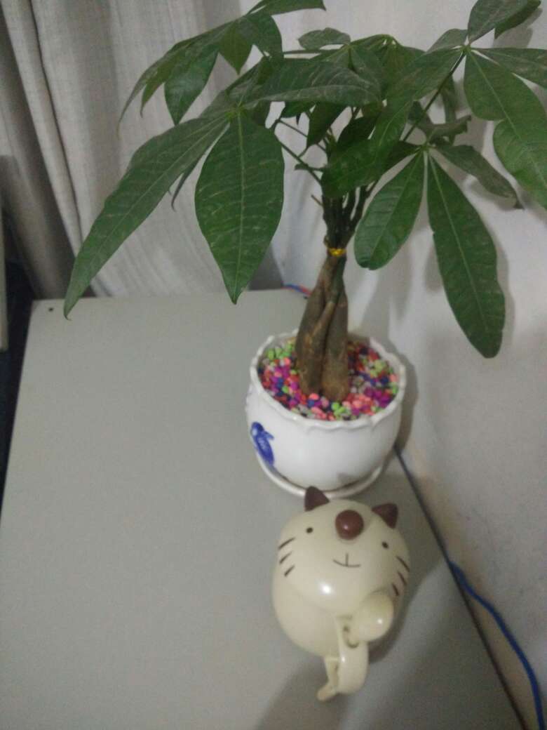 杯子我很喜欢,下次还会来买滴!