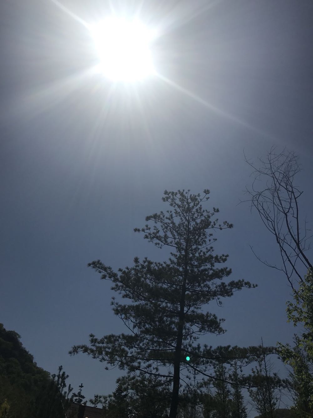 一口气买了这个作者的好几本书,活动的时候买真心不错,价格甩了实体几条街,一直在购买东西,习惯了都不想去实体了,小哥很给力,直接送到家门口,服务特别好书非常好,孩子非常喜欢,活动非常给力,我还会再来的~~~~~在一口气买了这个作者的好几本书,活动的时候买真心不错,价格甩了实体几条街,一直在购买东西,习惯了都不想去实体了,小哥很给力,直接送到家门口,服务特别好书非常好,孩子非常喜欢,活动非常给力,我还会再来的~~~~~在