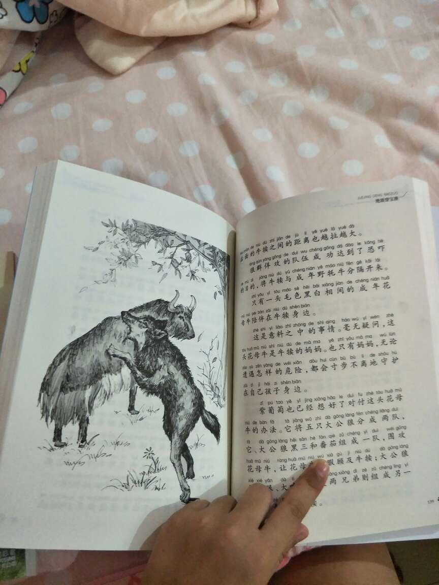 十分好,女儿一拿到就爱不释手。一晚看不完,第二天就接着看。而且质量非常不错,就是有一点小磨损,而且第一天晚上定的,第二天就立马到了!