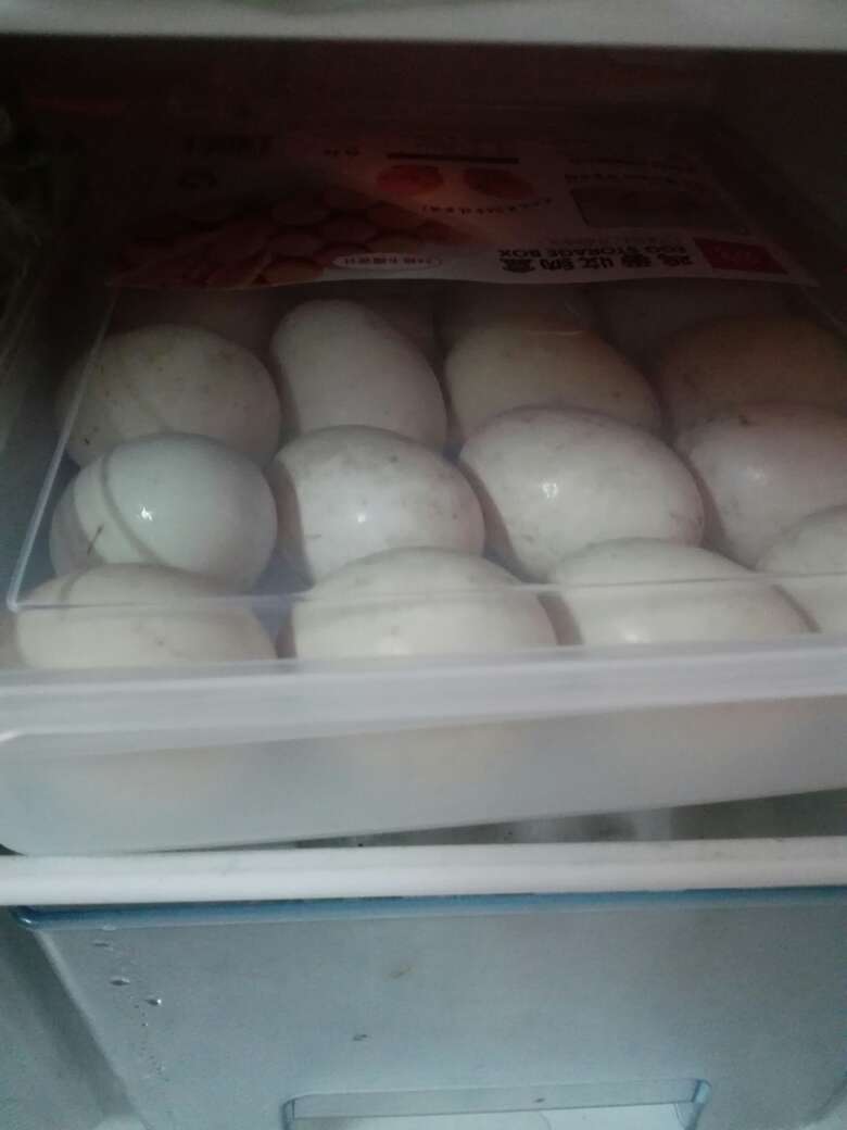 放鸡蛋没问题,鸭蛋有点挤