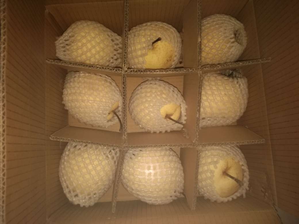 丰水梨,果然甜,很爽快的,值得大家购买!