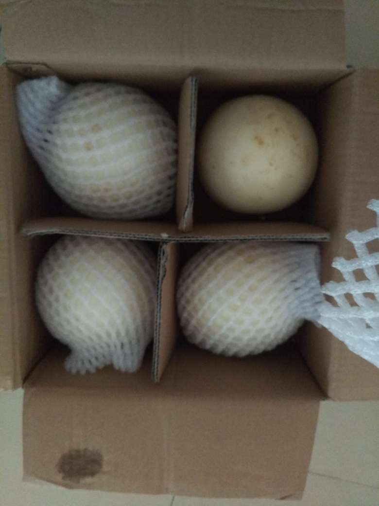 第二次买了,上次买的小的,这次的要大些,瓜很甜,小朋友很爱吃