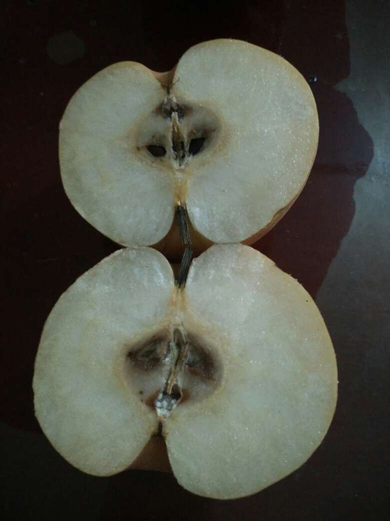 六个梨,只有一个凑合能吃,四个黑的,一个发干,这种水果居然还往外卖,太**了。
