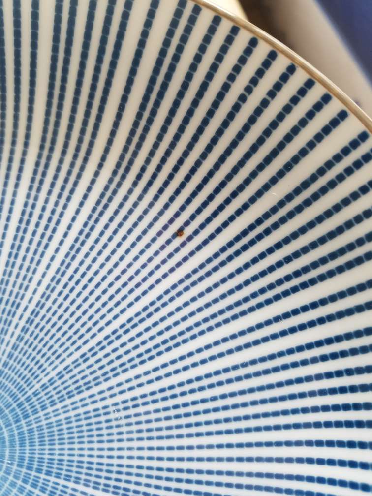 碗很漂亮 后面还有logo 可是碗的质量就真的有点做工劣质了 不过我觉得好在划算