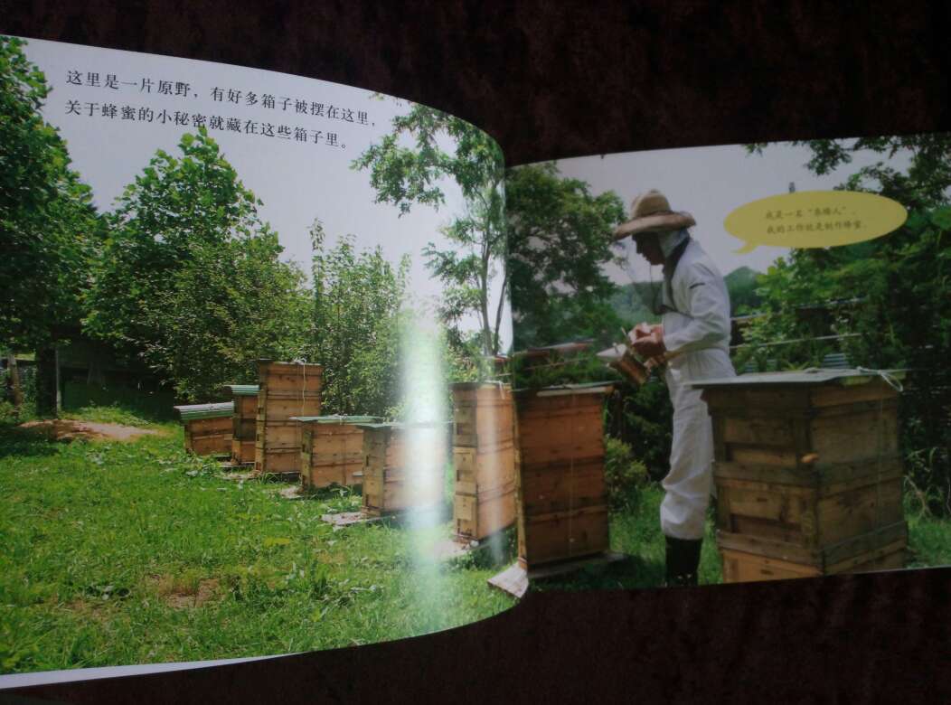 很早就想买了,抢了张优惠券就赶紧收了!觉得日本人做这些关于自然科学和手工的书就是比国内的要细致啊!用非常详细的图告诉小朋友大米是怎么来的,牛奶可以做成哪些食物?大豆可以做成哪些?听说还有妈妈看了《巧克力》这本后还有自己带着小孩做巧克力的,真的太棒了!我家是看了《蜂蜜》那本书后,把家里的蜂蜜拿出来观察了半天说从颜色上看我们家的蜂蜜是油菜花蜜……哈哈?!非常值得一看的书。关于哪些评论说书不值,图片多,字不多的家长,我只想说,你家肯定没买过绘本吧?想买字多的去买大部头小说吧!不过也得小孩看得进才行啊!