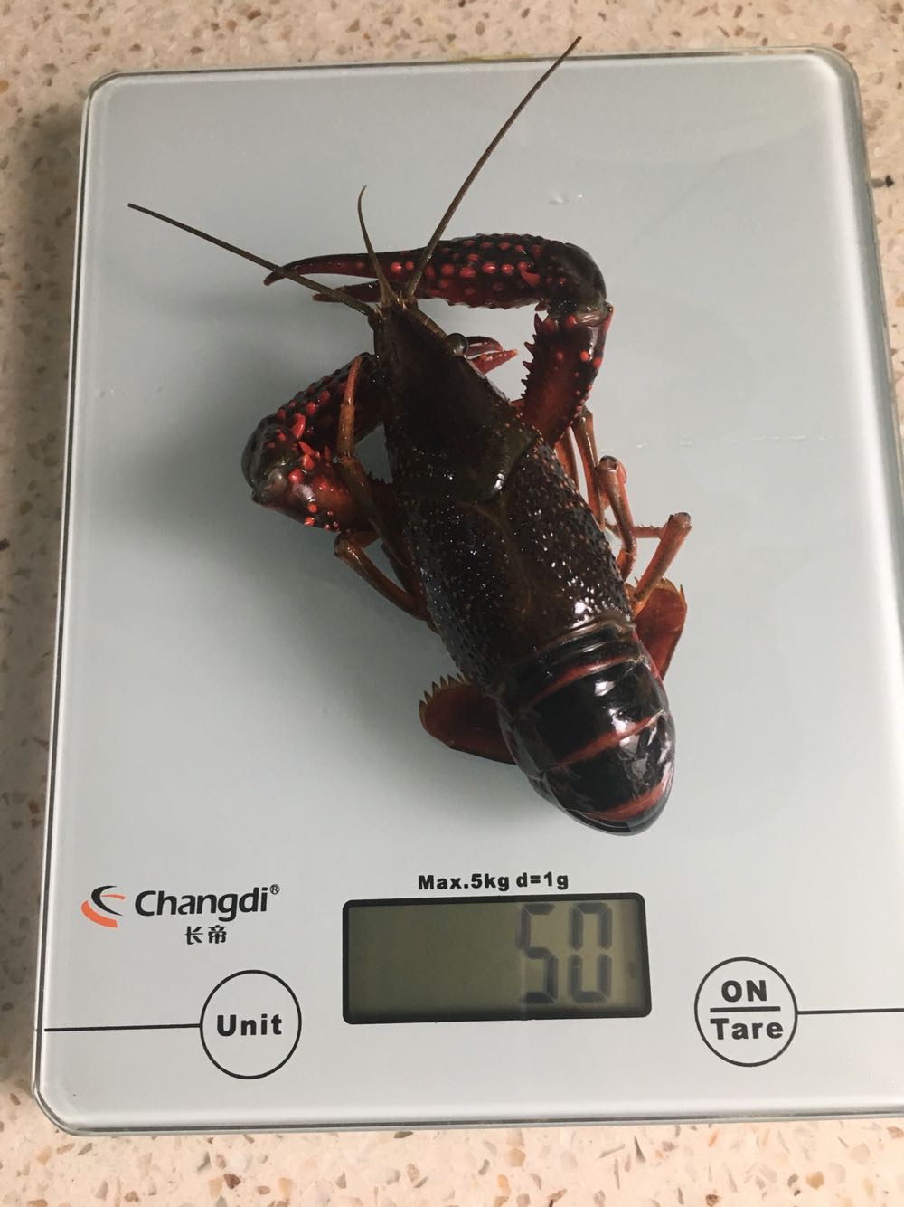 一直都不怀疑的服务,非常棒,送货速度超快!小龙虾很干净,老板很有诚信,值得信赖!