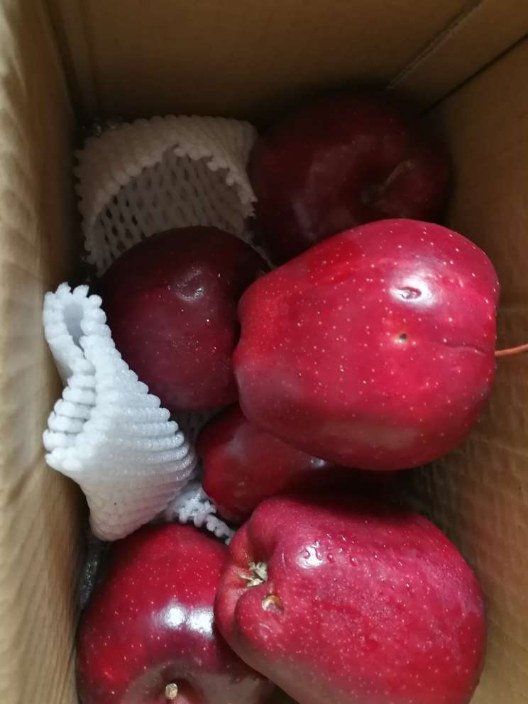 打开包装一看有二个是有点烂了的,有点小失望,这果吃起来脆脆的,果汁也很多,但有点酸特别是果心周围