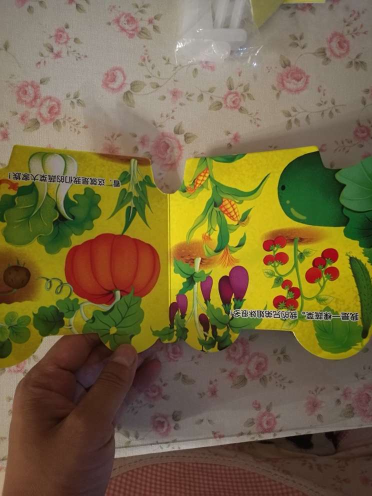 本次购物体验太差,书印刷错误,买了一本汽车书,中间插了一张蔬菜的,多加了运费要六月一号到,最后二号才到。太便宜,退货也不值当。