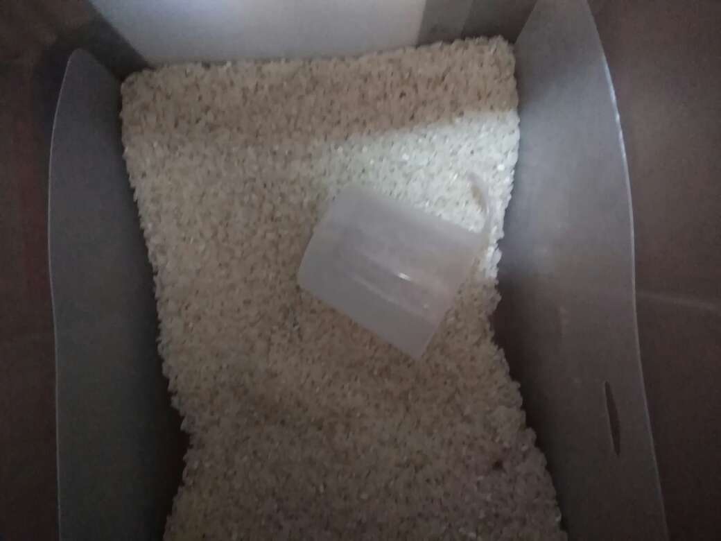 大米不错 推荐