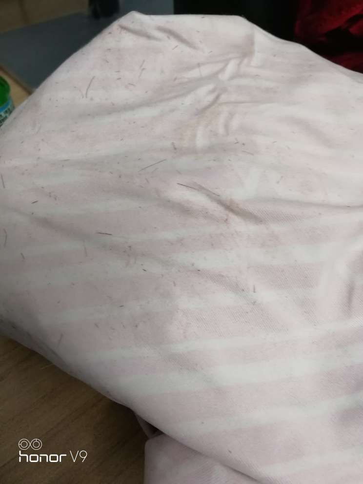 这质量实在太差,洗完晾干后,睡着满身刺,浑身难受!超级难受!用衣服擦,全是小刺,100多当是喂狗了。谁买谁难受,谁买谁后悔!