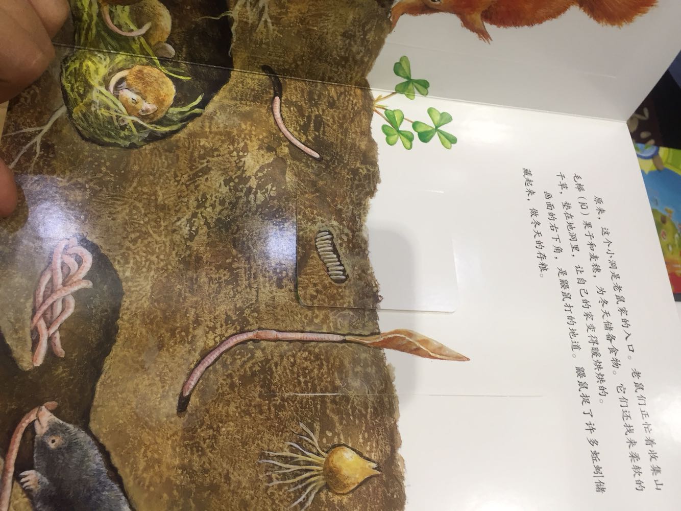 给外甥女买的礼物,质量很好,价格便宜,关键是外甥女爱看,有些小机关~。非常棒。每次购物都是很棒的体验。快递小哥服务态度特别好,赞一个