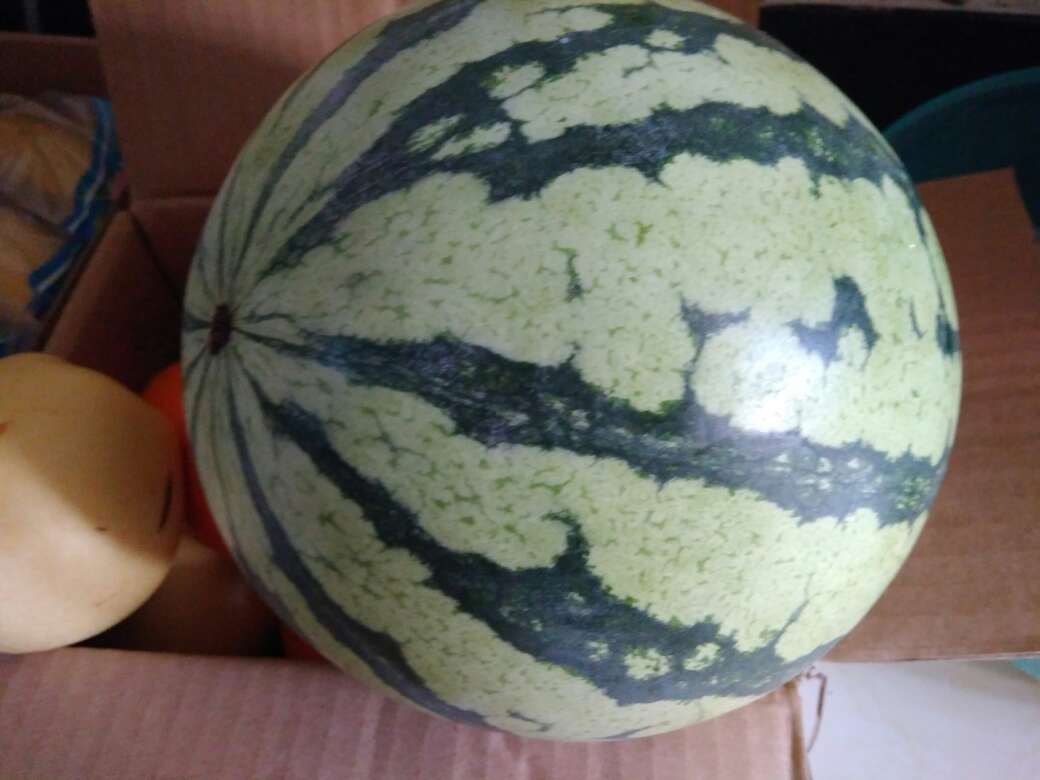 重量符合介绍,大热天不用出门买挺好的