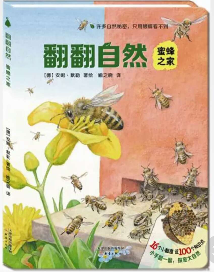 这是一套视角独特的自然科普书: 上至蜂巢,下至蚁穴,深入地下,广及雨天、雪后的美丽世界,“翻翻自然”带孩子去领略、观察我们一般看不到或被我们忽视的自然角落,走进自然深处,感受自然之美,惊叹动物智慧,感恩自然赐予。 这是一套读法独特的自然科普书: 16开结实耐翻的大卡板,全套96个创意小翻窗,让孩子动动小手、翻翻自然,在观察表层自然的同时,深入探究被外壳、地表遮盖,甚至被我们的眼睛所忽视的自然深处的奇观与秘密。真正享受探索的乐趣,培养真正的科学探索精神: 翻一翻,满足好奇心,锻炼小手肌肉; 翻一翻,翻出天上地下的奥秘; 翻一翻,翻出动物生存的智慧。 这是一套来自德国的自然科普书: 典型德式严谨风格,图画精确细腻、栩栩如生、美不胜收。 这是一套文辞优美、以诗般语言描绘自然、礼赞生命的科普书。 德国青少年文学奖科普大奖得主力安妮·默勒,德国著名自然科普作家与插画家、《美丽散步》作者托马斯·穆勒共同呈献 北京市宣武区青少年科技馆岳颖审订推荐【内容简介】 《地下世界》 脏兮兮、黏糊糊的泥土地下面,会有什么呢?请你低头仔细看看,或许你会发现地上