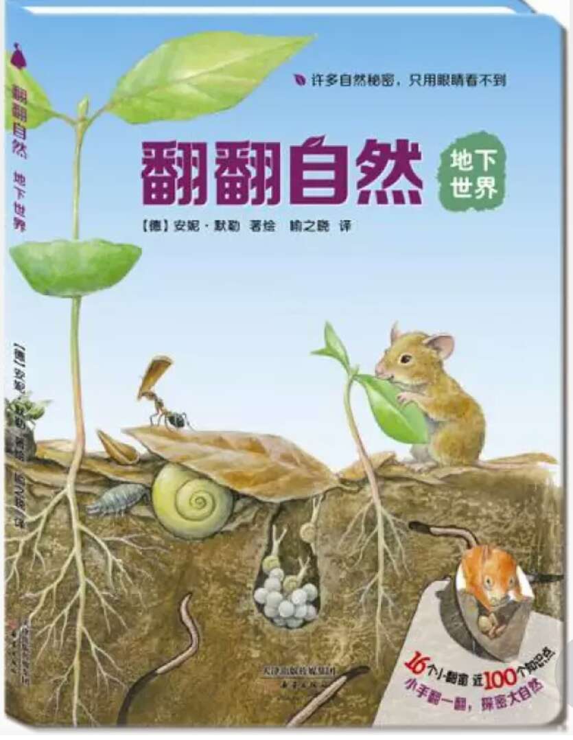 这是一套视角独特的自然科普书: 上至蜂巢,下至蚁穴,深入地下,广及雨天、雪后的美丽世界,“翻翻自然”带孩子去领略、观察我们一般看不到或被我们忽视的自然角落,走进自然深处,感受自然之美,惊叹动物智慧,感恩自然赐予。 这是一套读法独特的自然科普书: 16开结实耐翻的大卡板,全套96个创意小翻窗,让孩子动动小手、翻翻自然,在观察表层自然的同时,深入探究被外壳、地表遮盖,甚至被我们的眼睛所忽视的自然深处的奇观与秘密。真正享受探索的乐趣,培养真正的科学探索精神: 翻一翻,满足好奇心,锻炼小手肌肉; 翻一翻,翻出天上地下的奥秘; 翻一翻,翻出动物生存的智慧。 这是一套来自德国的自然科普书: 典型德式严谨风格,图画精确细腻、栩栩如生、美不胜收。 这是一套文辞优美、以诗般语言描绘自然、礼赞生命的科普书。 德国青少年文学奖科普大奖得主力安妮·默勒,德国著名自然科普作家与插画家、《美丽散步》作者托马斯·穆勒共同呈献 北京市宣武区青少年科技馆岳颖审订推荐【内容简介】 《地下世界》 脏兮兮、黏糊糊的泥土地下面,会有什么呢?请你低头仔细看看,或许你会发现地上