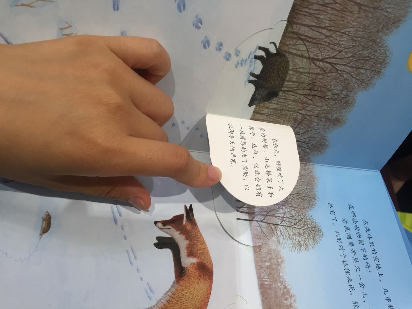 给外甥女买的礼物,质量很好,价格便宜,关键是外甥女爱看,有些小机关~。非常棒。每次购物都是很棒的体验。快递小哥服务态度特别好,赞一个