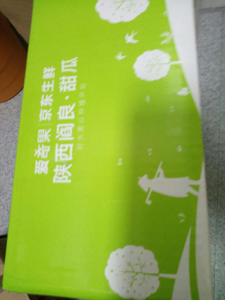 爱奇果 阎良甜瓜 4个大果 总重量约2.5kg 新鲜水果