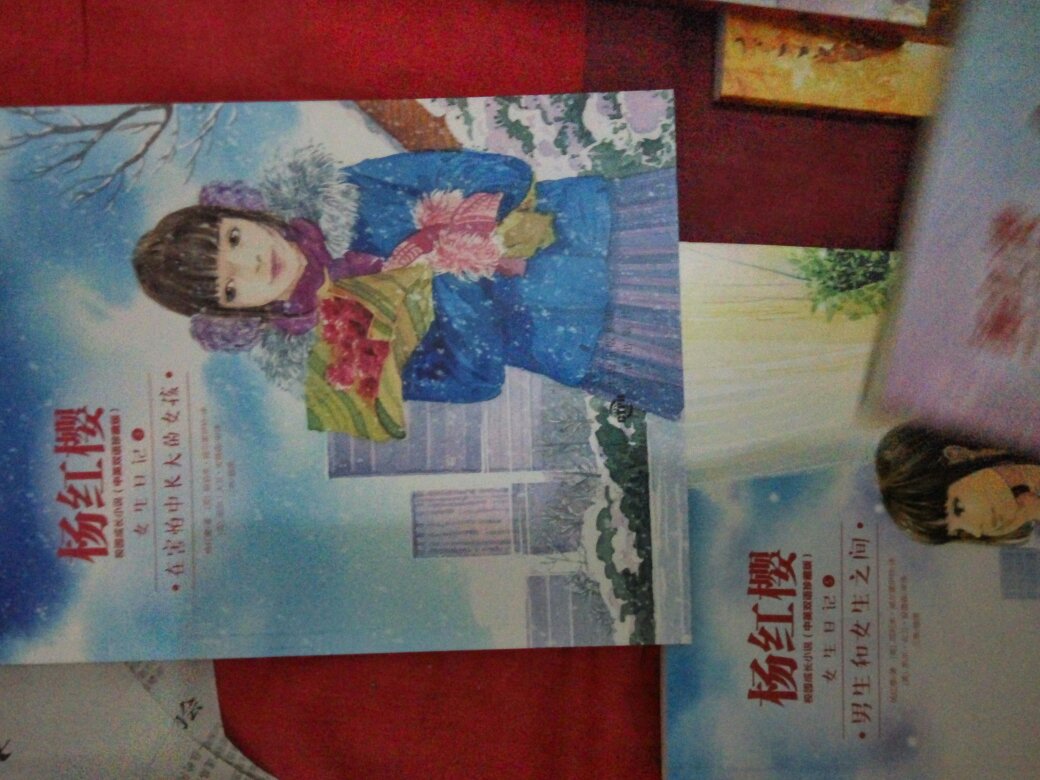 很好的书,女儿一直都想要,这次搞活动的时候就给他买了。相对比淘宝店里的还要便宜,搞活动的时候。比其他的商家都变也一直我还会继续关注的。