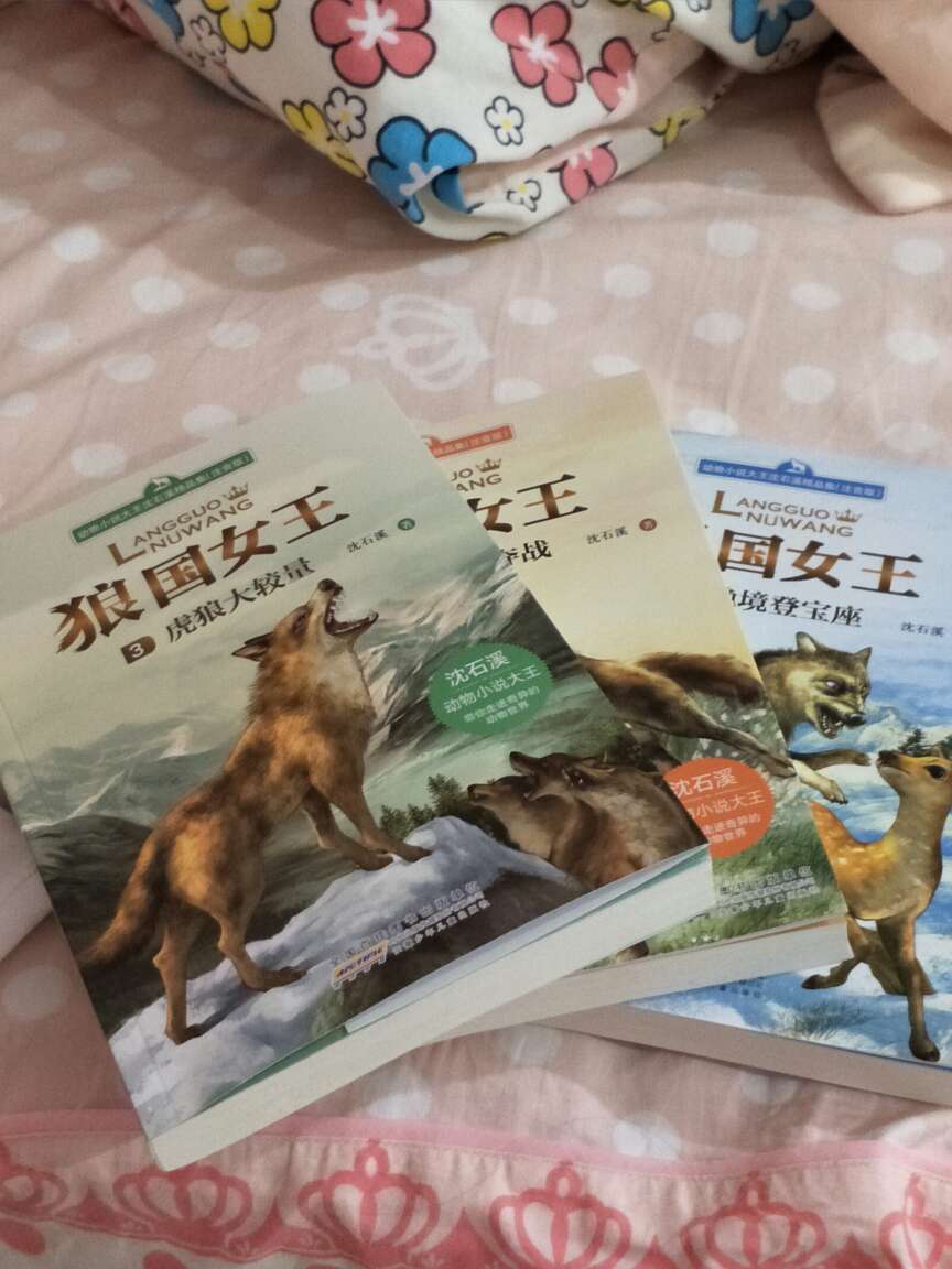 十分好,女儿一拿到就爱不释手。一晚看不完,第二天就接着看。而且质量非常不错,就是有一点小磨损,而且第一天晚上定的,第二天就立马到了!