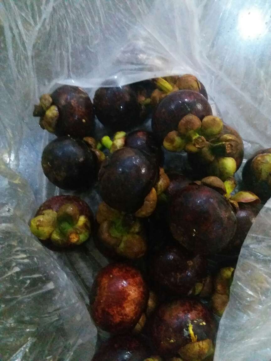 自营,值得信赖,物美价廉