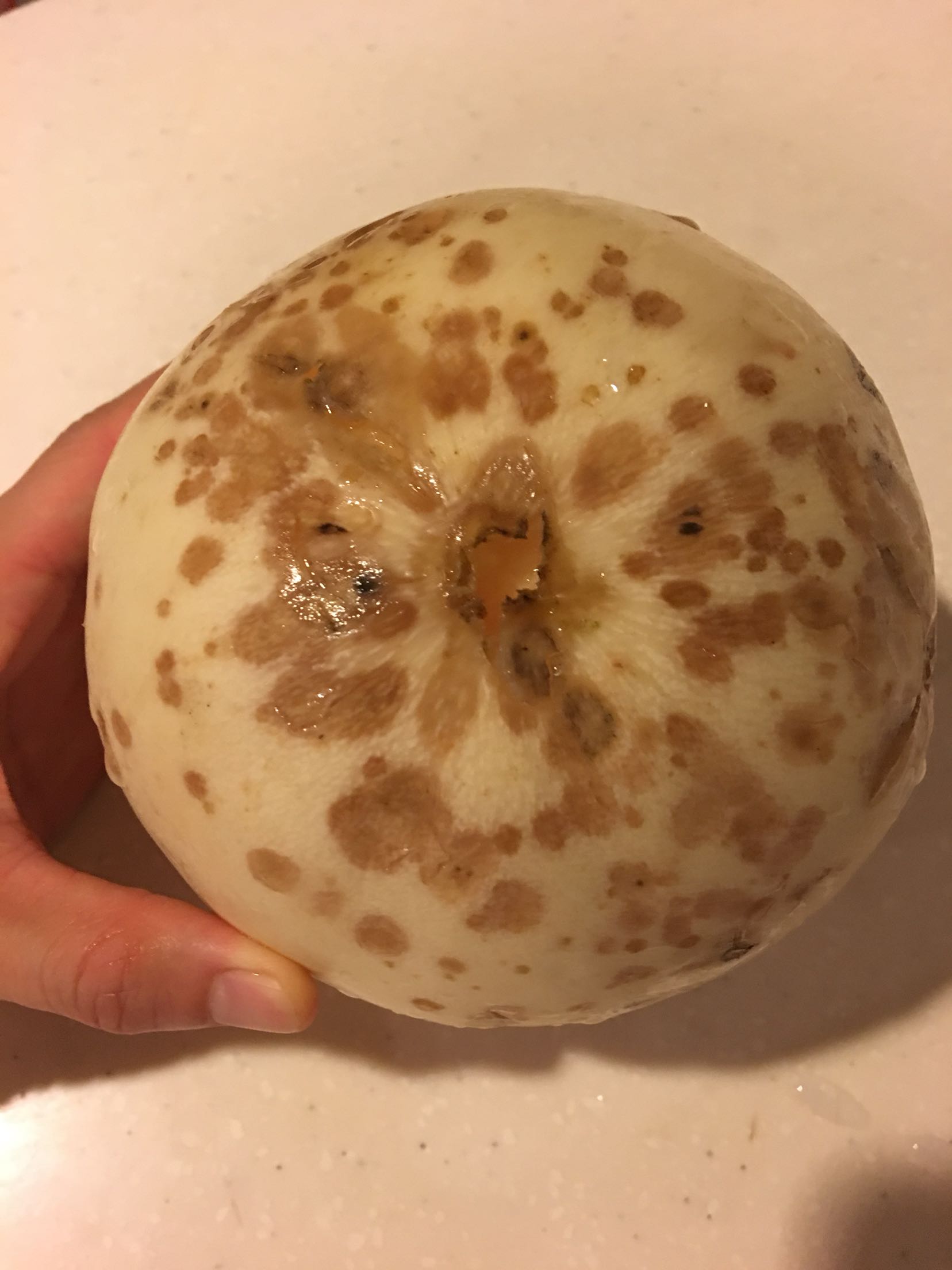 俩瓜一大一小,小的瓜外皮已经烂了,上当就这一回,花点钱交学费吧!