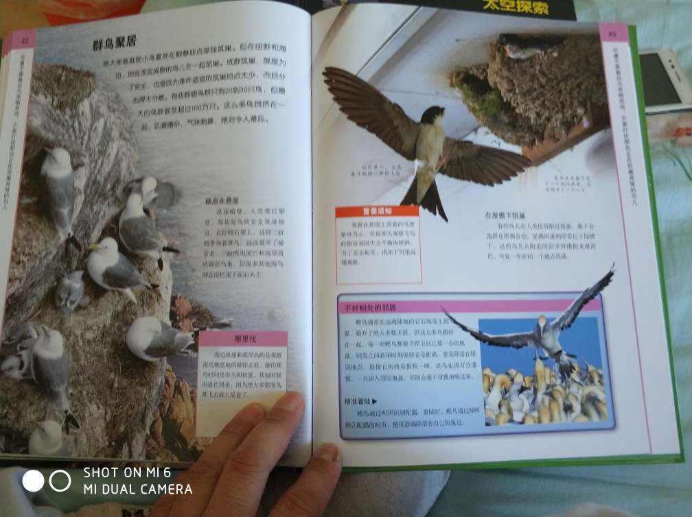 这是研究鸟类的丛书,讲述如何利用各种方法研究鸟类,有很多手工制作研究鸟类工具的那种,这本书最适合的就是,培养孩子热爱自然的兴趣,并且可以探索自然。