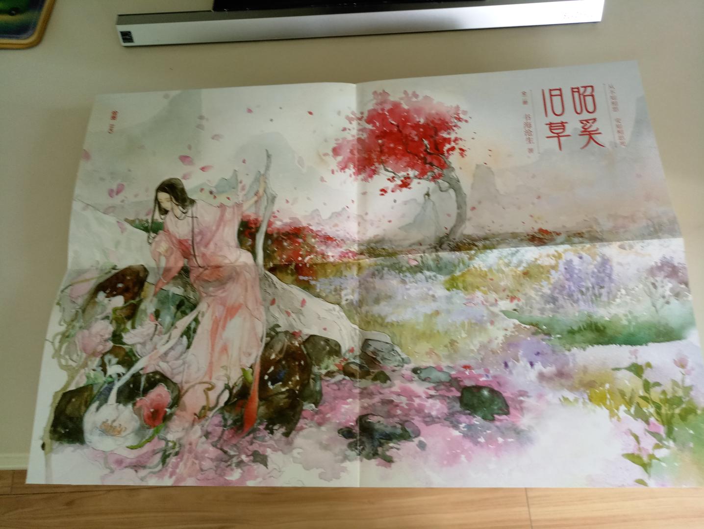 找了一大堆书放在收藏夹里关注着,遇到活动就下手购入了,有些都是在网上看过了,非常经典,但还是想有原本在手,留着闲暇的时间慢慢翻阅。