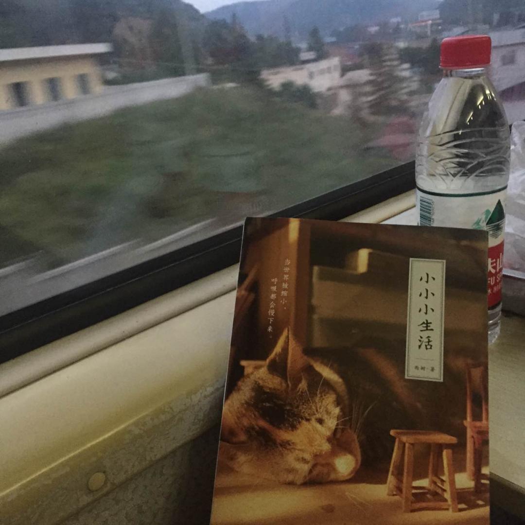 特意开电脑打字来写评论。在微博上得知西树@要出书的时候就很开心,偶尔看他在微博上分享的作品就特别喜欢,每次都觉得看不够,这下好了,有了书,就能慢慢品读。收到物流信息说有包裹到的时候,就小小的开心了一下,就像小时候知道妈妈会在冰箱里冰一小碗糖番茄一样,知道回家会有个清甜可口的小礼物等着自己。急吼吼的看了一半,突然告诉自己该停下来。这样大嚼大咽并不是看这本书的方法,因为这本书本来要传达的就是细微的美丽,应当静下心,慢慢欣赏。西树@的文字非常好,表达流畅温和,娓娓道来每一件作品诞生时发生的种种小事,有甜蜜的、温馨的、还有小小无奈的,遣词造句平淡隽永,就像一个总是慢性子的好朋友,在你耳边絮絮叨叨,让人听来觉得心底莫名的安定。我想,能在细微之处体察到风起花落的人,一定是极为敏感而温柔的,制作微景观需要准备一应器物,潜行制作许久,作者一定也是极为耐心和坚定。这本书不仅是展现一个巧妙的微观世界,也是作者在传达他知世故而不世故,对周遭事物满怀爱意的生活态度。有时候,工作累了,压力大,我愿意翻翻这样的书,学一学别人是怎样温柔的接受这个世界,学一学别人是怎样一砖一瓦的做完一个世界。