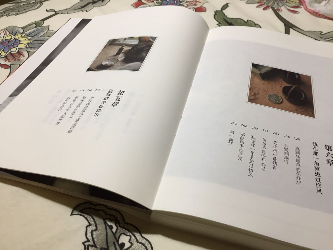 特意开电脑打字来写评论。在微博上得知西树@要出书的时候就很开心,偶尔看他在微博上分享的作品就特别喜欢,每次都觉得看不够,这下好了,有了书,就能慢慢品读。收到物流信息说有包裹到的时候,就小小的开心了一下,就像小时候知道妈妈会在冰箱里冰一小碗糖番茄一样,知道回家会有个清甜可口的小礼物等着自己。急吼吼的看了一半,突然告诉自己该停下来。这样大嚼大咽并不是看这本书的方法,因为这本书本来要传达的就是细微的美丽,应当静下心,慢慢欣赏。西树@的文字非常好,表达流畅温和,娓娓道来每一件作品诞生时发生的种种小事,有甜蜜的、温馨的、还有小小无奈的,遣词造句平淡隽永,就像一个总是慢性子的好朋友,在你耳边絮絮叨叨,让人听来觉得心底莫名的安定。我想,能在细微之处体察到风起花落的人,一定是极为敏感而温柔的,制作微景观需要准备一应器物,潜行制作许久,作者一定也是极为耐心和坚定。这本书不仅是展现一个巧妙的微观世界,也是作者在传达他知世故而不世故,对周遭事物满怀爱意的生活态度。有时候,工作累了,压力大,我愿意翻翻这样的书,学一学别人是怎样温柔的接受这个世界,学一学别人是怎样一砖一瓦的做完一个世界。