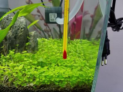 静音效果很好,适合小鱼缸使用,劲挺大的。接管子弄的一个过滤系统,效果也是看得见的。很满意