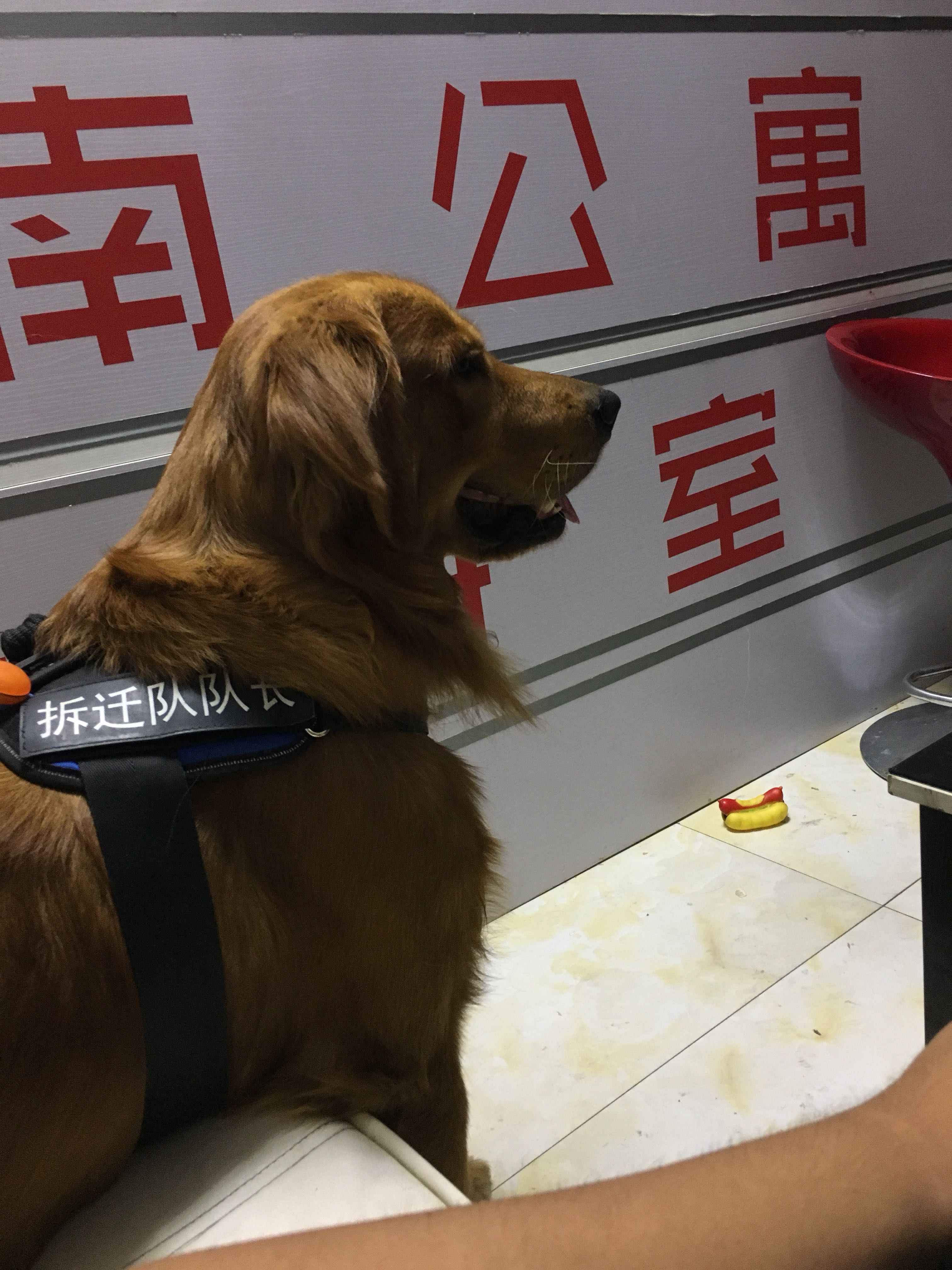 挺坚固的,那也是用了一段时间弹回偶尔会卡