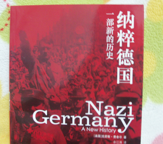 纳粹德国:一部新的历史--看评价买的,希望不会