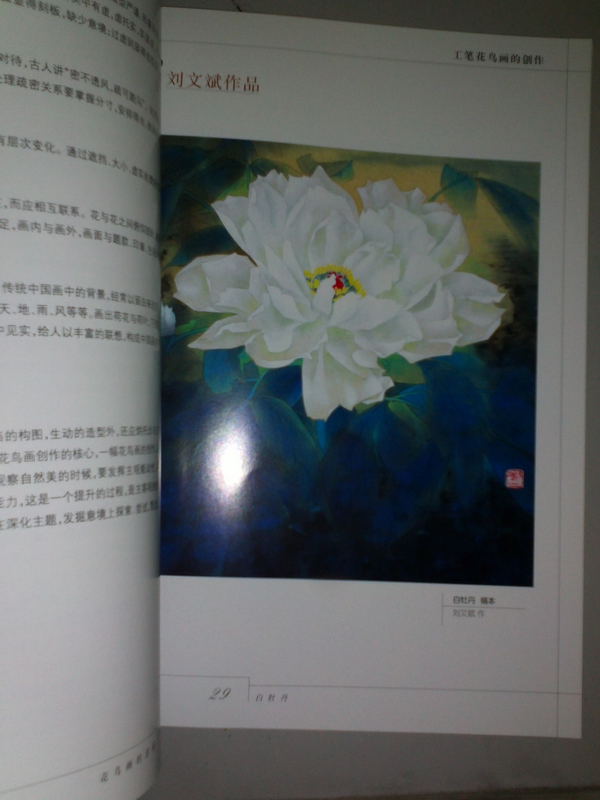 國畫(huà)入門(mén)：工筆花鳥(niǎo) 曬單實(shí)拍圖