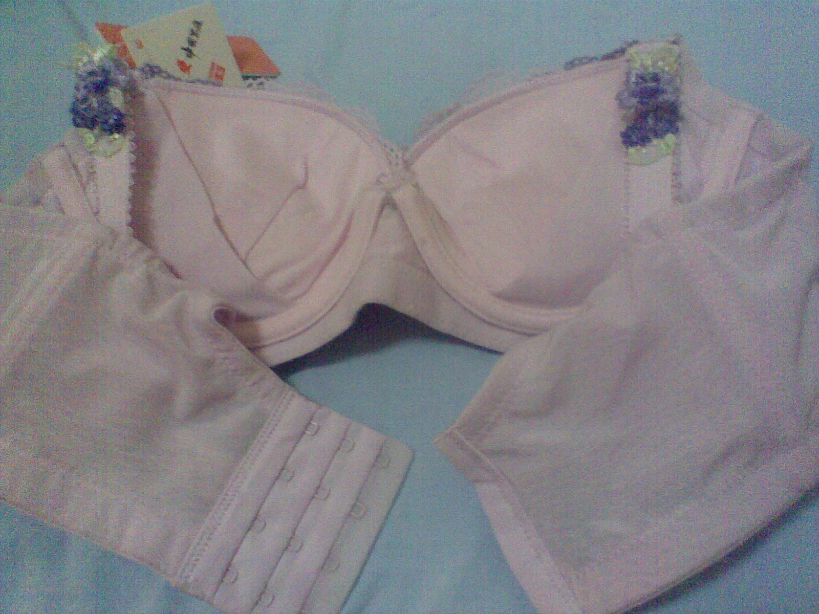 <em>红豆</em>集团<em>红豆</em>居家 <em>2012新款</em> 性感超聚拢调整型