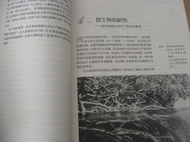富饒的鹽水濕地 曬單實(shí)拍圖